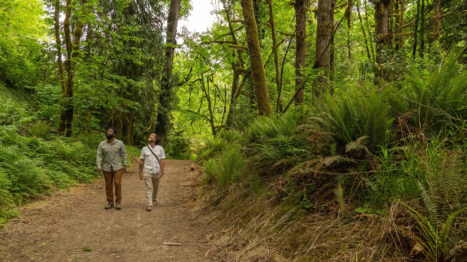 Two people walking in the forest