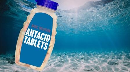 Video thumbnail: Reactions Is There a Quick Fix for Ocean Acidification?